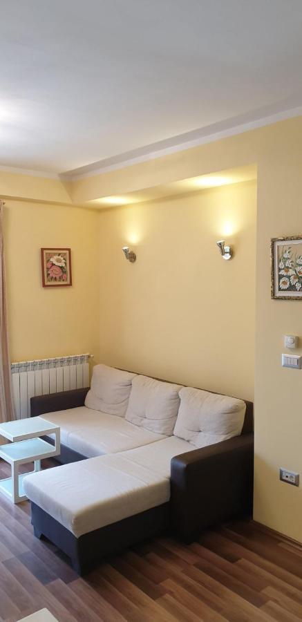 Lili Διαμέρισμα Novigrad Istria Εξωτερικό φωτογραφία